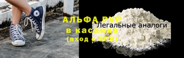 прущие грибы Белокуриха