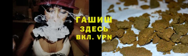 прущие грибы Белокуриха