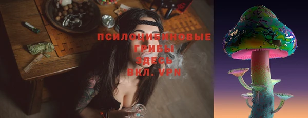 прущие грибы Белокуриха