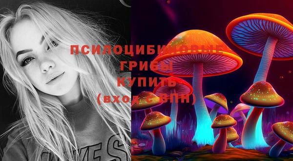 первитин Белоозёрский