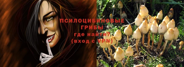 прущие грибы Белокуриха