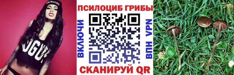 Псилоцибиновые грибы MAGIC MUSHROOMS  Окуловка 